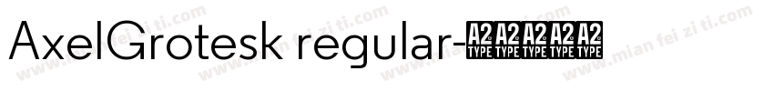 AxelGrotesk regular字体转换